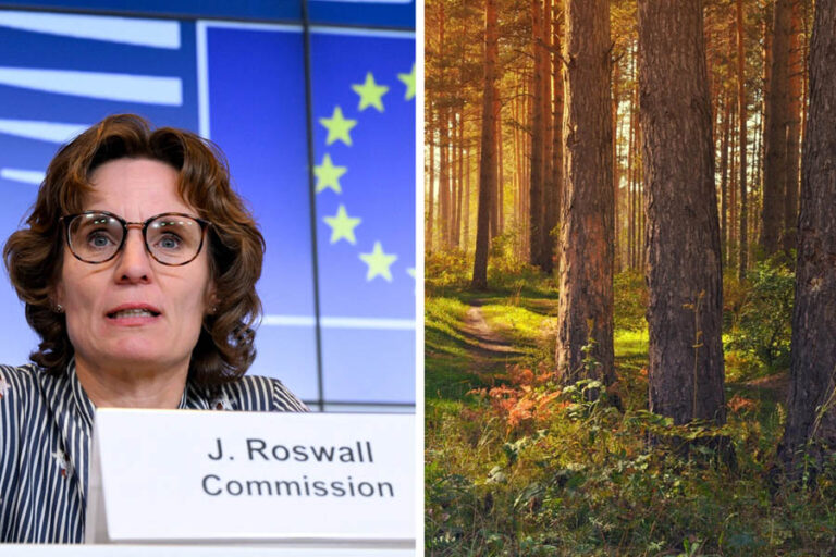 EUDR-Roswall-1536x1024x