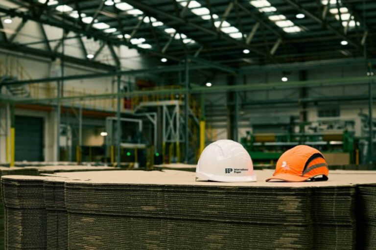 About the IP + DS Smith Combination IP Green